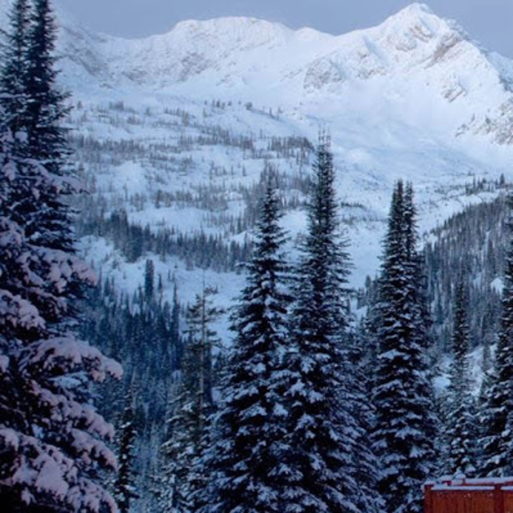 Meet your Posher, Ethan - Picture 1 of 1